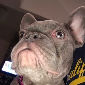 Meet your Posher, Aidan